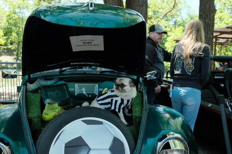Glovebox Gallery Photograph